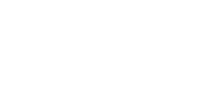 Damiani Pneus